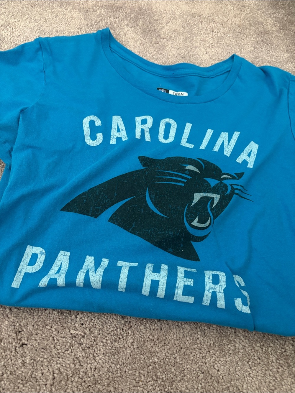 NFL Carolina Panthers Teal Graphic Short Sleeve Tee